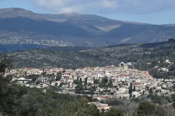 Service Monte Escalier Monte-escalier Biot