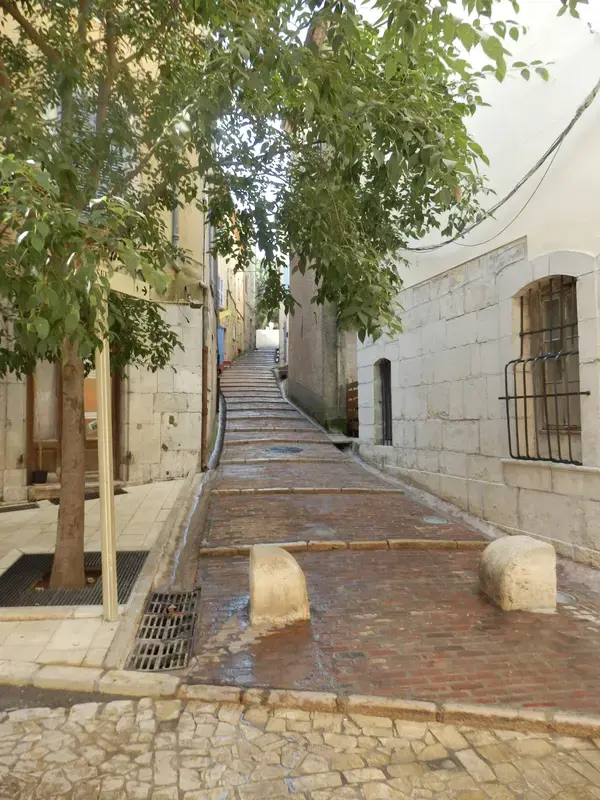 Service Monte Escalier Monte-escalier Brignoles