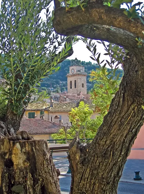 Service Monte Escalier Monte-escalier Ceyreste