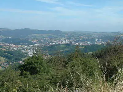 Service Monte Escalier Monte-escalier Firminy