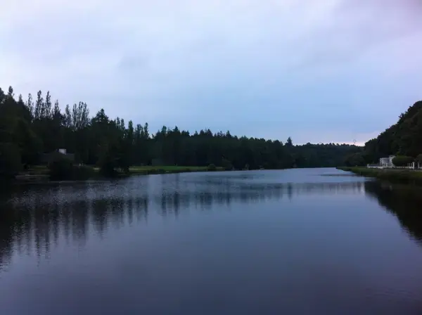 Service Monte Escalier Monte-escalier Inzinzac-Lochrist