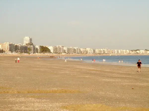 Service Monte Escalier Monte-escalier La Baule-Escoublac