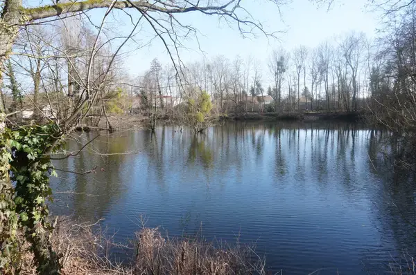 Service Monte Escalier Monte-escalier La Chapelle-Saint-Luc