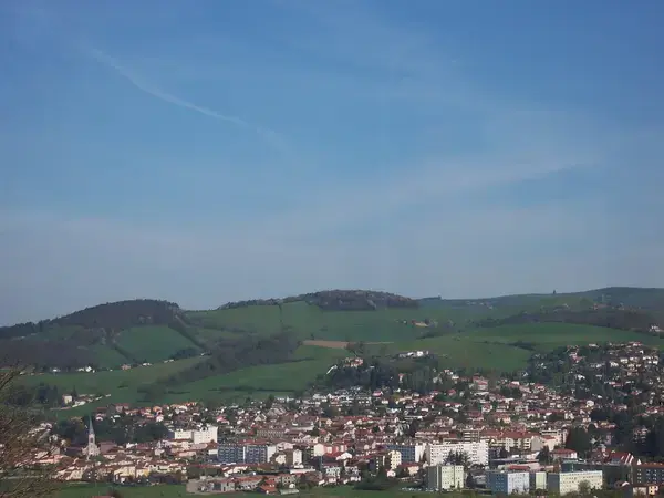 Service Monte Escalier Monte-escalier La Talaudière