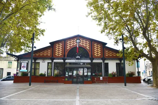 Service Monte Escalier Monte-escalier Lansargues