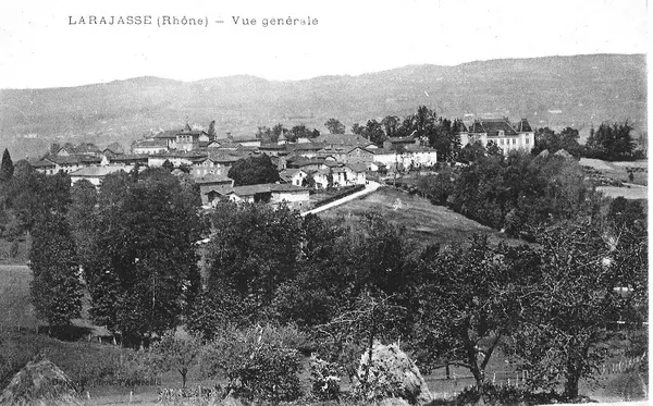 Service Monte Escalier Monte-escalier Larajasse