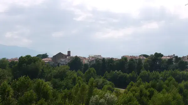 Service Monte Escalier Monte-escalier Le Boulou