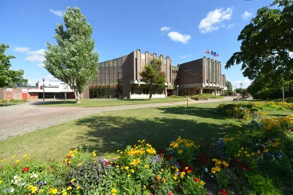 Service Monte Escalier Monte-escalier Leffrinckoucke