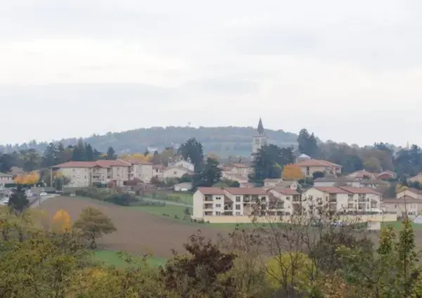 Service Monte Escalier Monte-escalier Lentilly