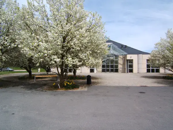 Service Monte Escalier Monte-escalier Olemps