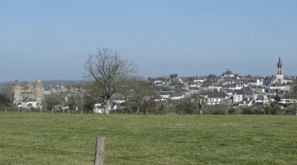 Service Monte Escalier Monte-escalier Ombrée d'Anjou