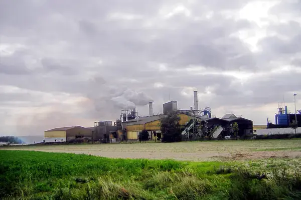 Service Monte Escalier Monte-escalier Ormes