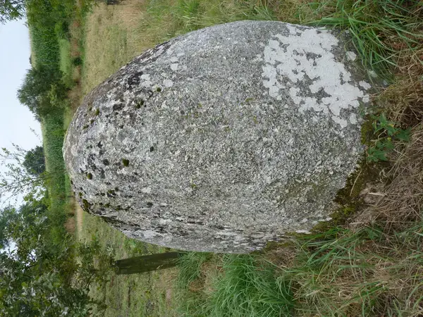 Service Monte Escalier Monte-escalier Plaintel