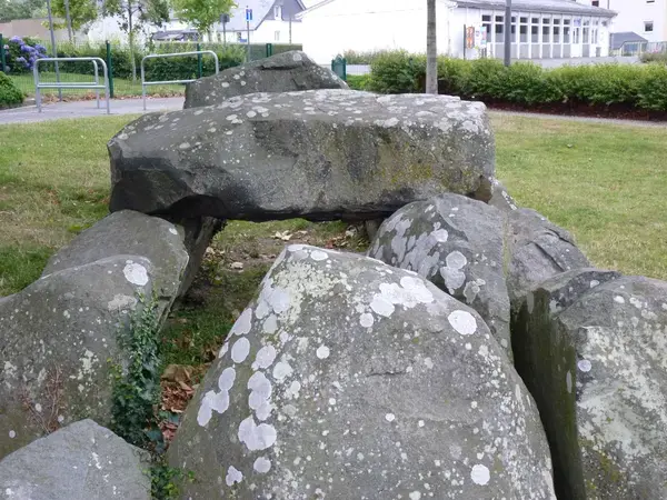 Service Monte Escalier Monte-escalier Ploufragan