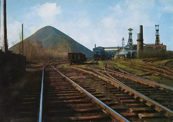 Service Monte Escalier Monte-escalier Raismes