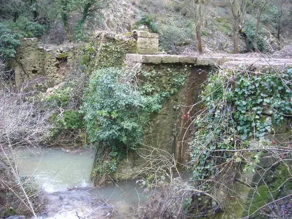 Service Monte Escalier Monte-escalier Rognes