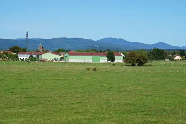 Service Monte Escalier Monte-escalier Roye