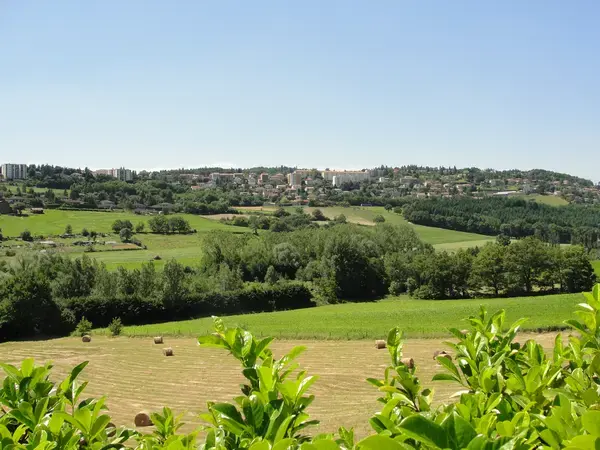 Service Monte Escalier Monte-escalier Saint-Genest-Lerpt