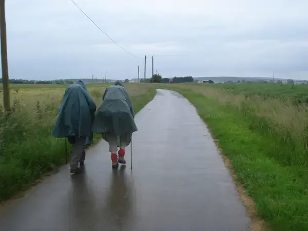 Service Monte Escalier Monte-escalier Saint-Martin-des-Champs