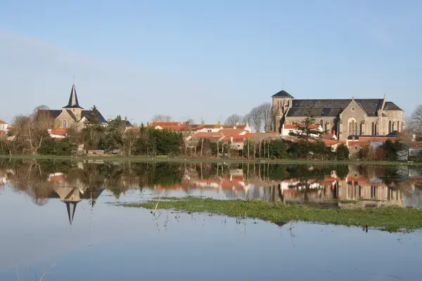 Service Monte Escalier Monte-escalier Sallertaine