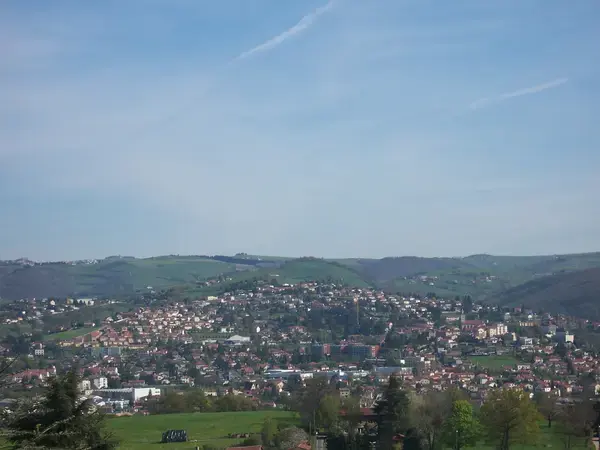 Service Monte Escalier Monte-escalier Sorbiers