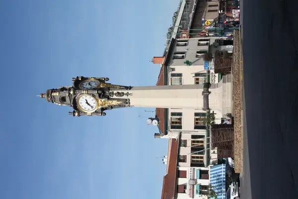 Service Monte Escalier Monte-escalier Tassin-la-Demi-Lune