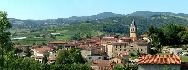 Service Monte Escalier Monte-escalier Thurins