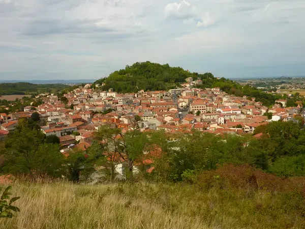 Service Monte Escalier Monte-escalier Vertaizon