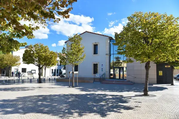 Service Monte Escalier Monte-escalier Vic-la-Gardiole