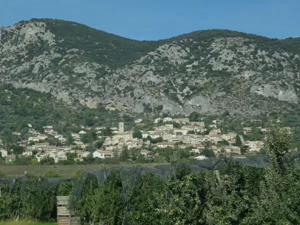 Service Monte Escalier Monte-escalier Volx